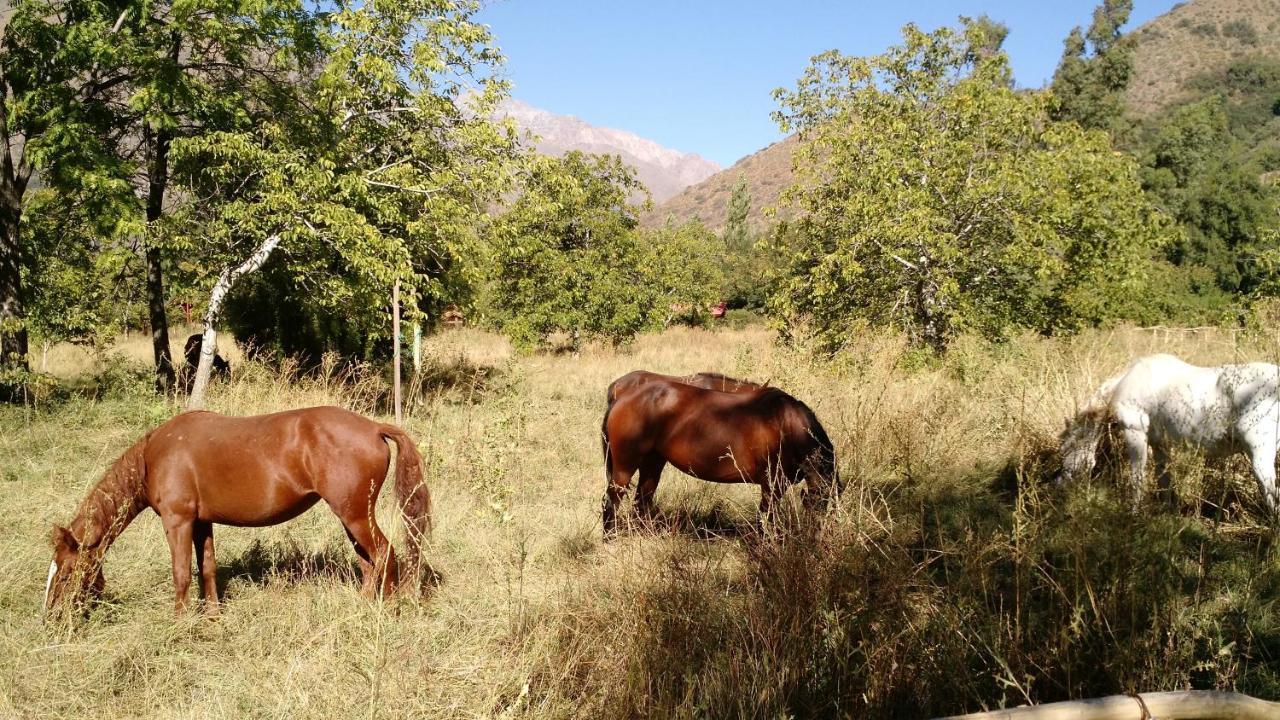 Cascada Lodge Cajon Del Maipo San José de Maipo Exteriör bild